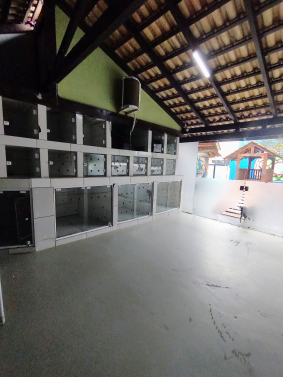 Área interna Pet Zen