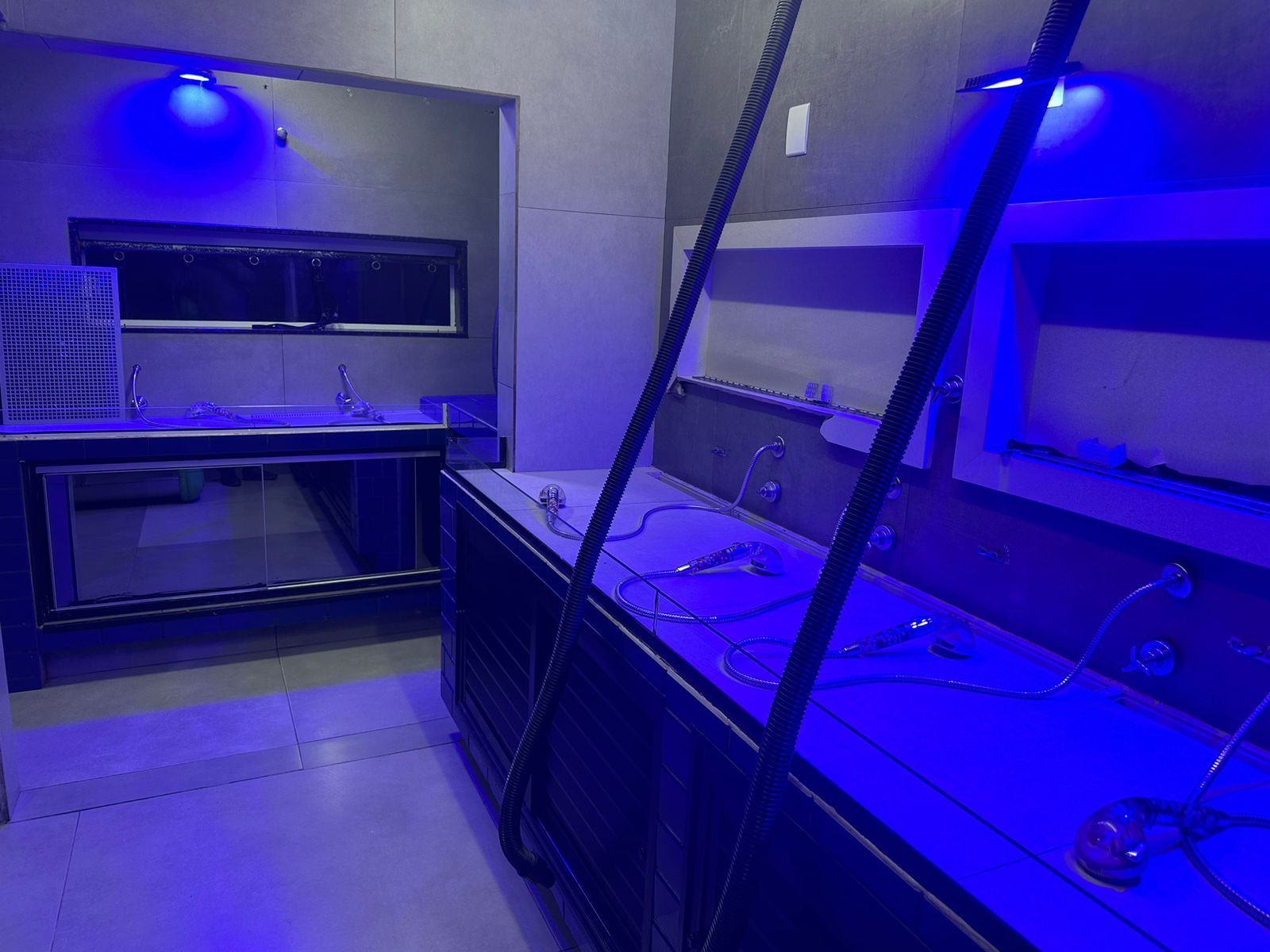 f172b444-7c76-4d7c-9f59-1ebc93eda46f